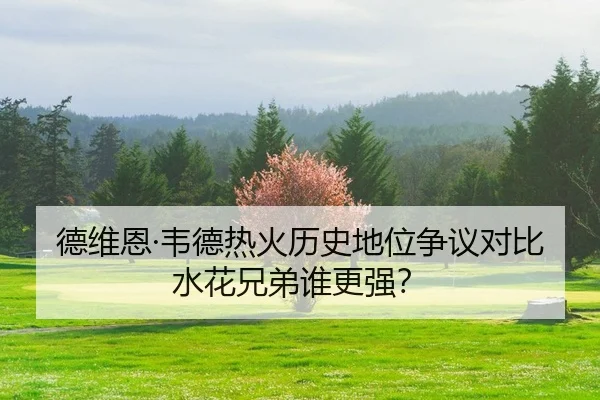 德维恩·韦德热火历史地位争议对比水花兄弟谁更强？